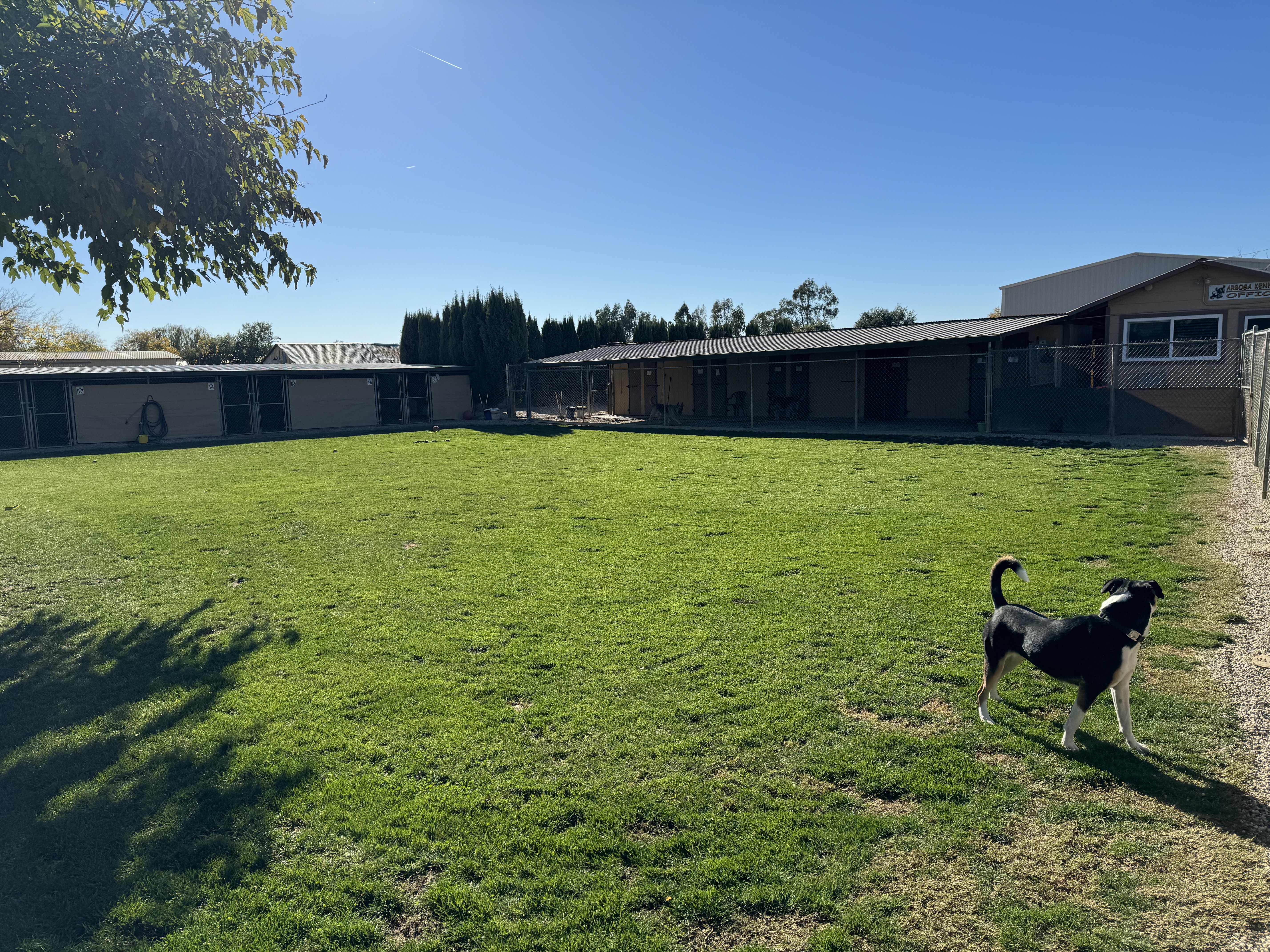 Play Yard 1