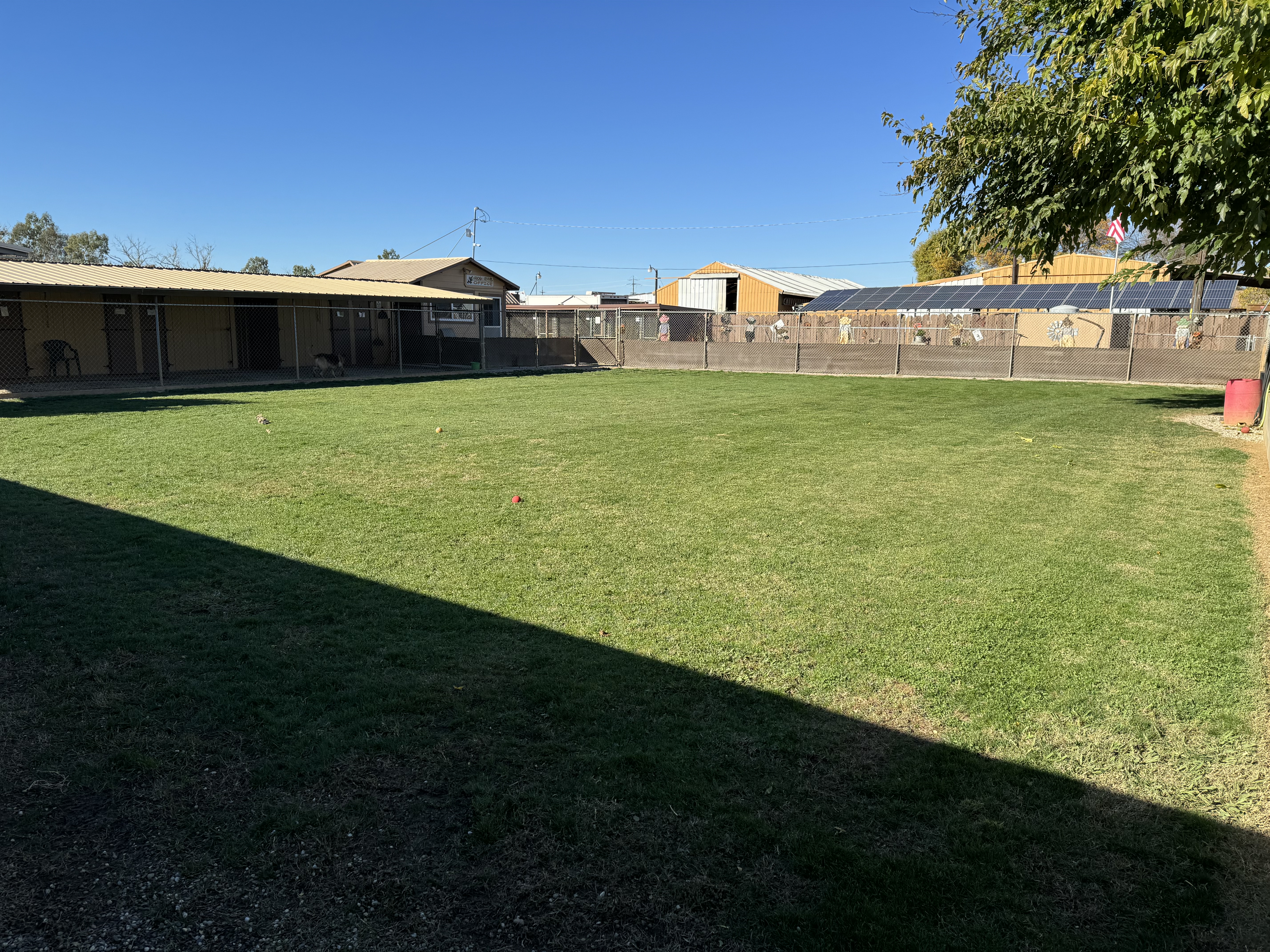 Play Yard 1