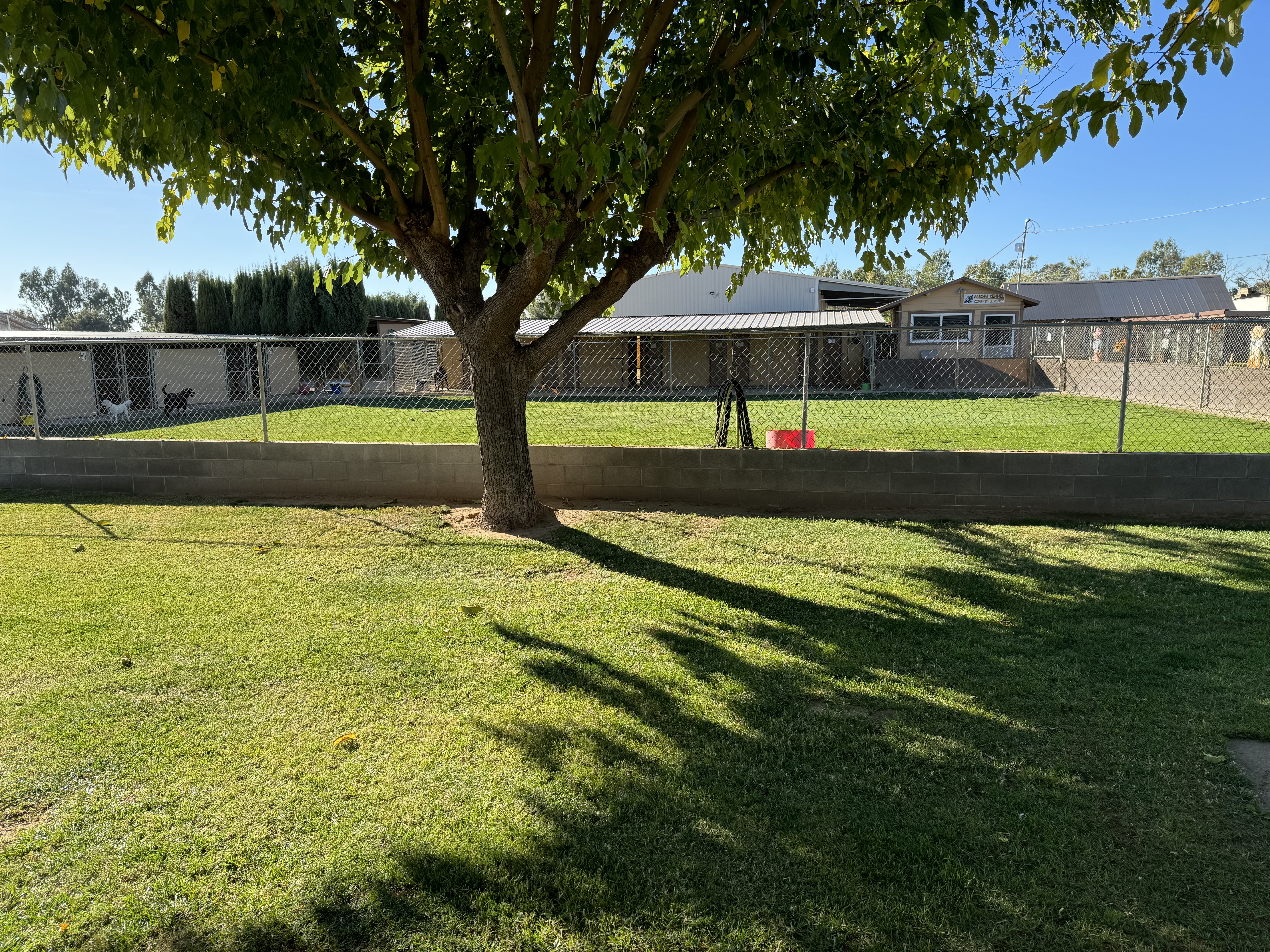 Yard